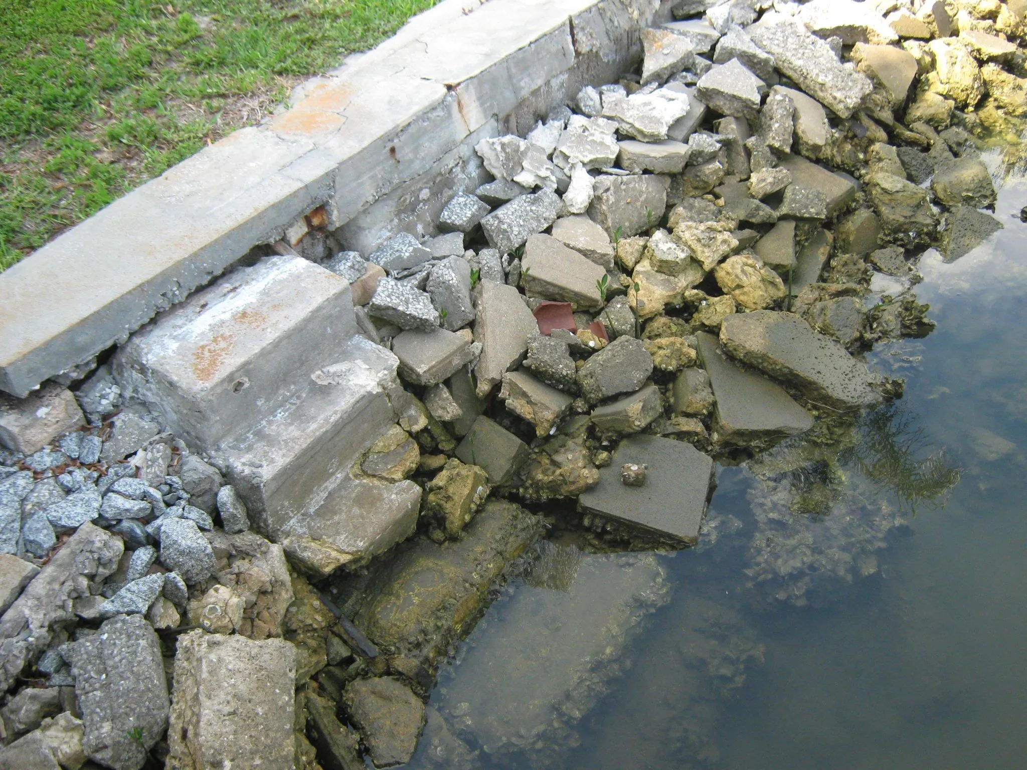 Seawall Repair Professionals in Winter Haven