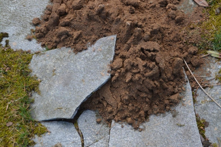 soil-stabilization-winter-haven-fl-06